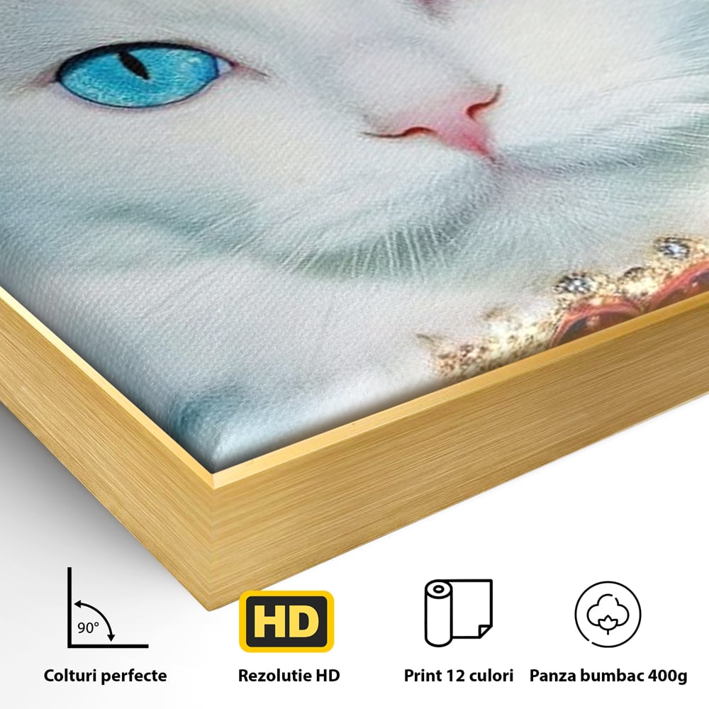 Detaliu al suprafetei: tablou canvas cu pisica alba regala, in rama de aluminiu auriu
